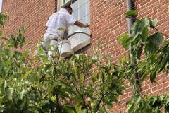 Working on the Windows at the Side of the Church in Alexandria, VA