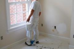 Northern VA interior house painters