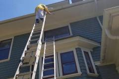 Thoroughly Power Washing the Dirt and Debris Off Home in Washington DC
